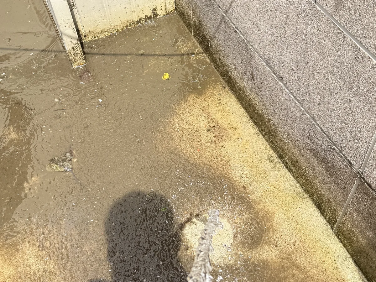 안산시 단원구 고잔동 침수 현장 복도·대기 동선 야간 위생청소 사례 - 행진크린